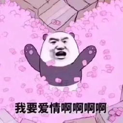  双11集体哭穷表情包我没钱了热门沙雕表情包