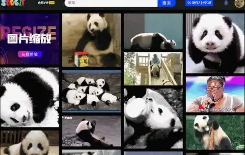  请问一下,那些动态熊猫沙雕表情包是怎么做的,注意是动态哦,知道的说一下,感谢