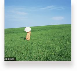  中信银行信用卡颜卡