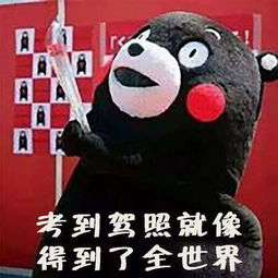 ppt结尾图片表情包膏方