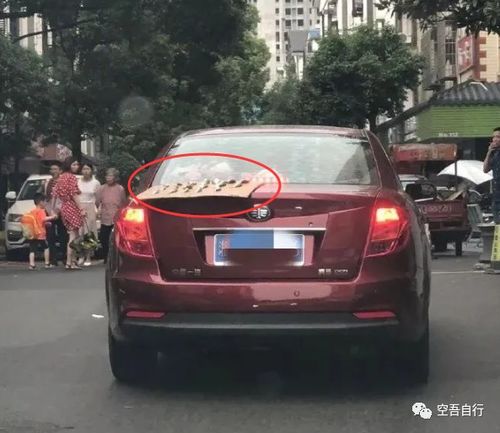  已经围上为何不算目这只乌龟,算不算独一无二的存在...哈哈哈底盘护甲忘装了...
