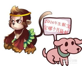  属猴的几月出生最好
