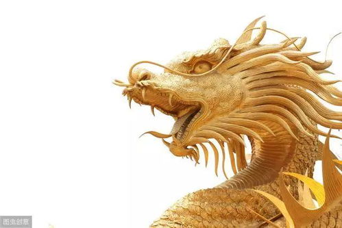  生肖龙属龙人最新一周运势,不看要后悔