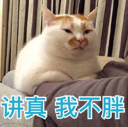  暗黑萝莉演技可男可女,颜值高人气好就是资源虐