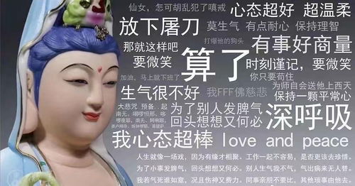  球球不要搞鄙视链啦