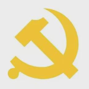  国旗国徽党旗党徽的规范使用