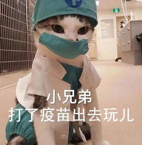  9月开学季,这4种病要重点防范