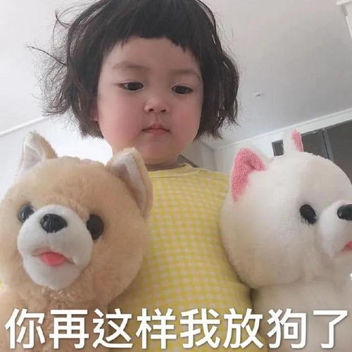  表情包你能拿我怎么办