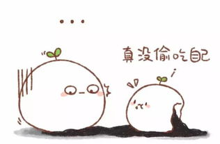  元宵节来临,常州最好吃的汤圆在这吃货们排队去