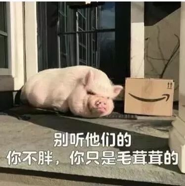  2017维密开秀在即,天使进阶之路如何才能更闪亮