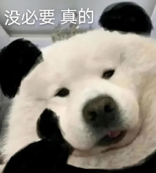  不社交,抗拒集体生活,黑龙江某高校男生在宿舍走廊打地铺近4年