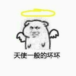 最火表情包全套表情包