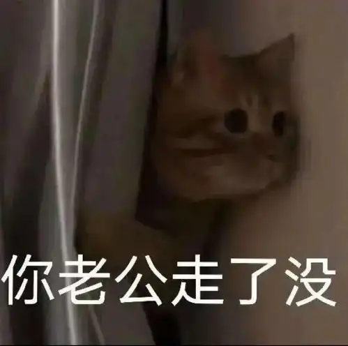  近期热图进来收图