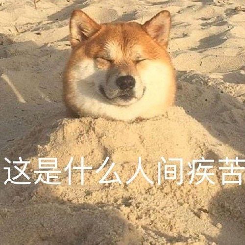  小说合辑