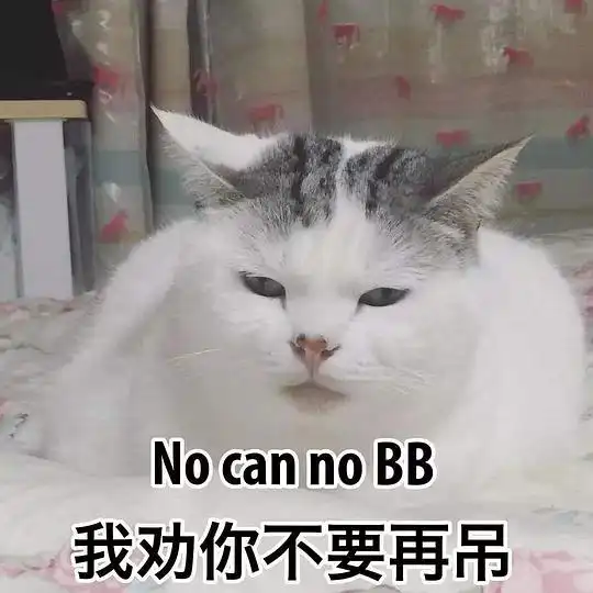 打滚表情包猫猫是爱情