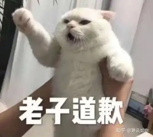  有哪些求和好的文案