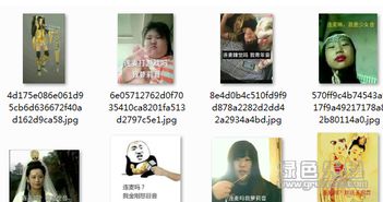 连麦吗我萝莉音表情包连麦吗我萝莉音恶搞图v2017无水印版软件下载