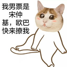  猫头宋仲基表情包