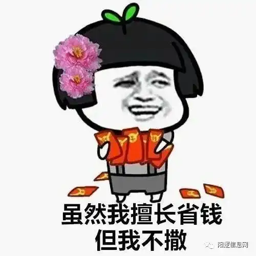  网上买的花种子,一不小心就上当,真令人哭笑不得