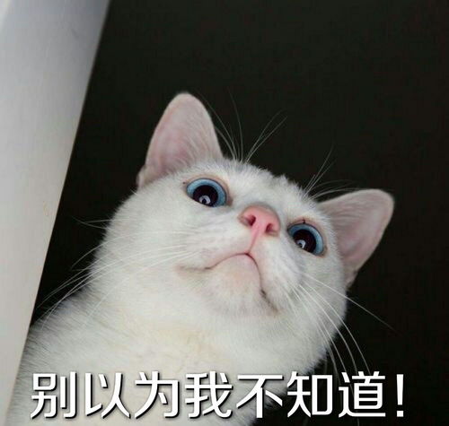 mur猫表情包脚步动作