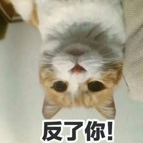  老板你听我解释
