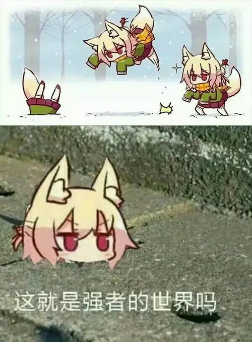起飞表情包强者的世界