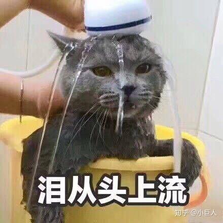  流泪的表情包是怎么样