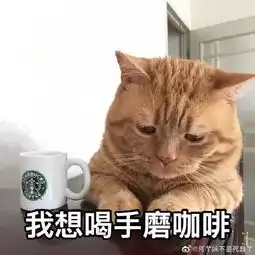  天津相声广播有新品种猫猫可以吸了
