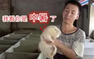  华农兄弟的全部相关视频bilibili哔哩哔哩弹幕视频网