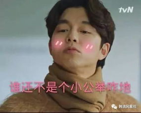  来自鬼怪家族的凝视海量表情包强势来袭