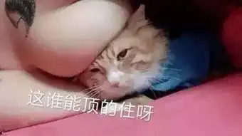  这谁顶得住表情包