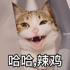  程序员要是穿上女装,连苍井空都甘拜下风