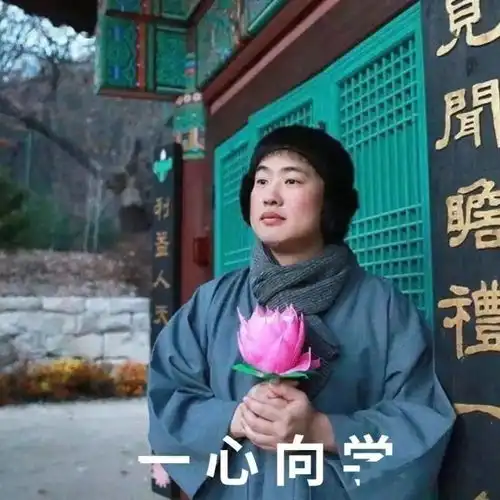  考研人必备头像壁纸表情包