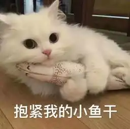  拒绝别人,你找过那些借口