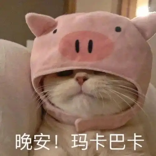  萌宠表情包晚安,玛卡巴卡