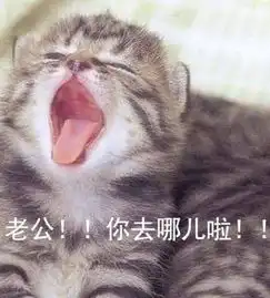 最近火了高级版怼人表情包明明长的丑,却还非常任性