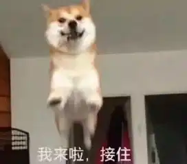  这有一个show邀你一起看