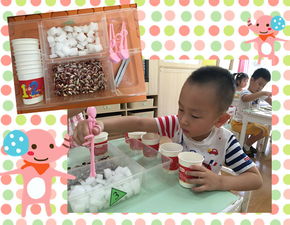  上海青草地双语幼儿园