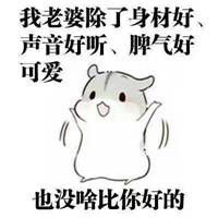 如何哄老婆开心表情包表