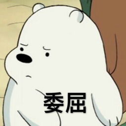  作为一个长得不好看的女生是怎样的体验