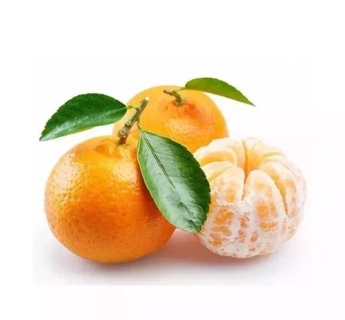  12月30日188禅游北溪趣说年俗永春年货会一日游,成人报名即送永春芦柑一箱