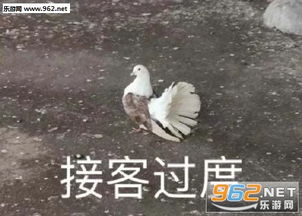  可可爱爱没有脑袋图片男朋友试图撒娇表情包下载乐游网游戏下载