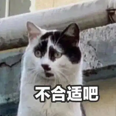  一只猫能丑到哪去,看完第一张图我窒息了