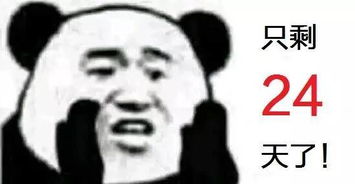  这周约波学习吗