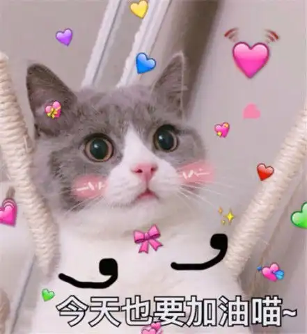  小奶猫自闭了表情包反抗是不敢反抗的,就偷偷略略略这样子