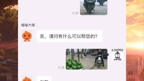  当你拿着孙红雷表情包去淘宝客服买瓜会发生什么