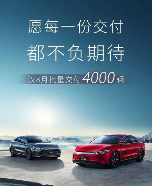  中汽研上险数一出,比亚迪的文字游戏被拆穿,汉销量水分这么大