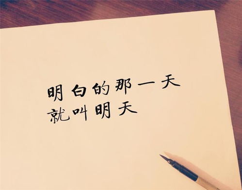 哪一句适合你的个性签名