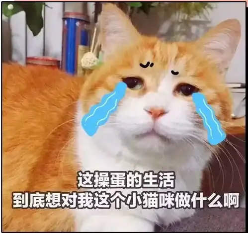  这就是2018上半年的我,太形象了哈哈哈哈哈哈