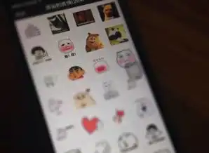  长得太美华人妹纸过海关被关小黑屋并遭遣返回国